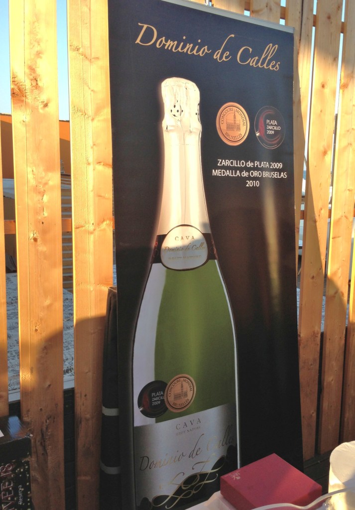 FASCV_Burbujas_Valencia_Dominio_de_Calles_cartel